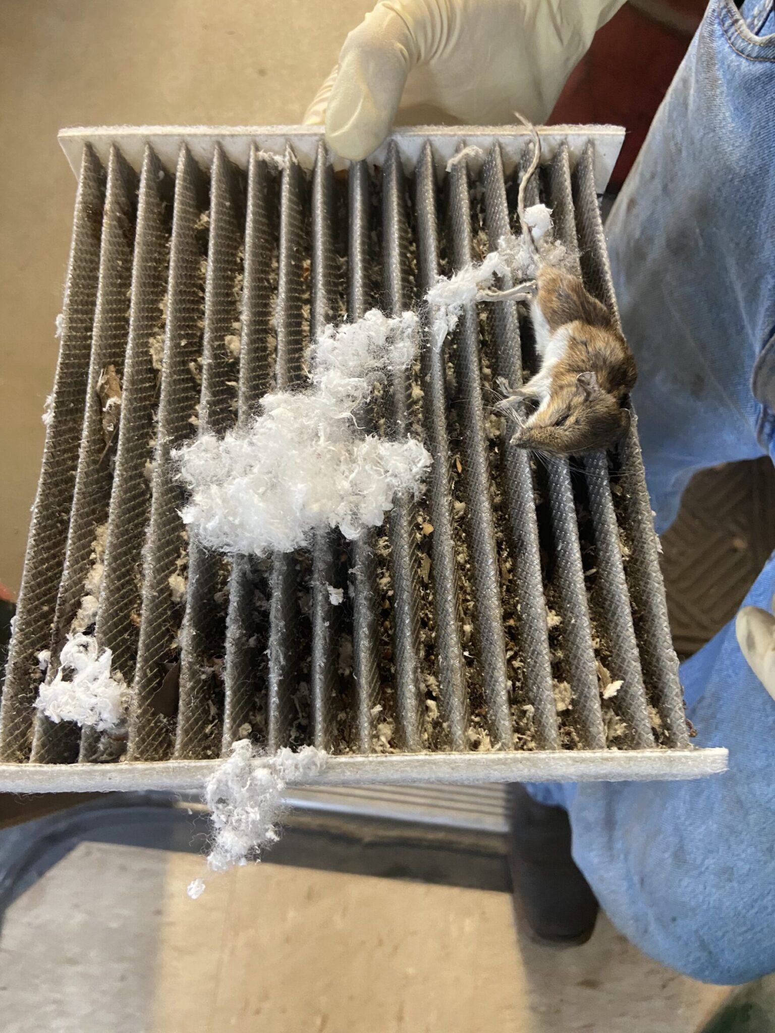 Vehicle Cabin Air Filter that needs to be changed.